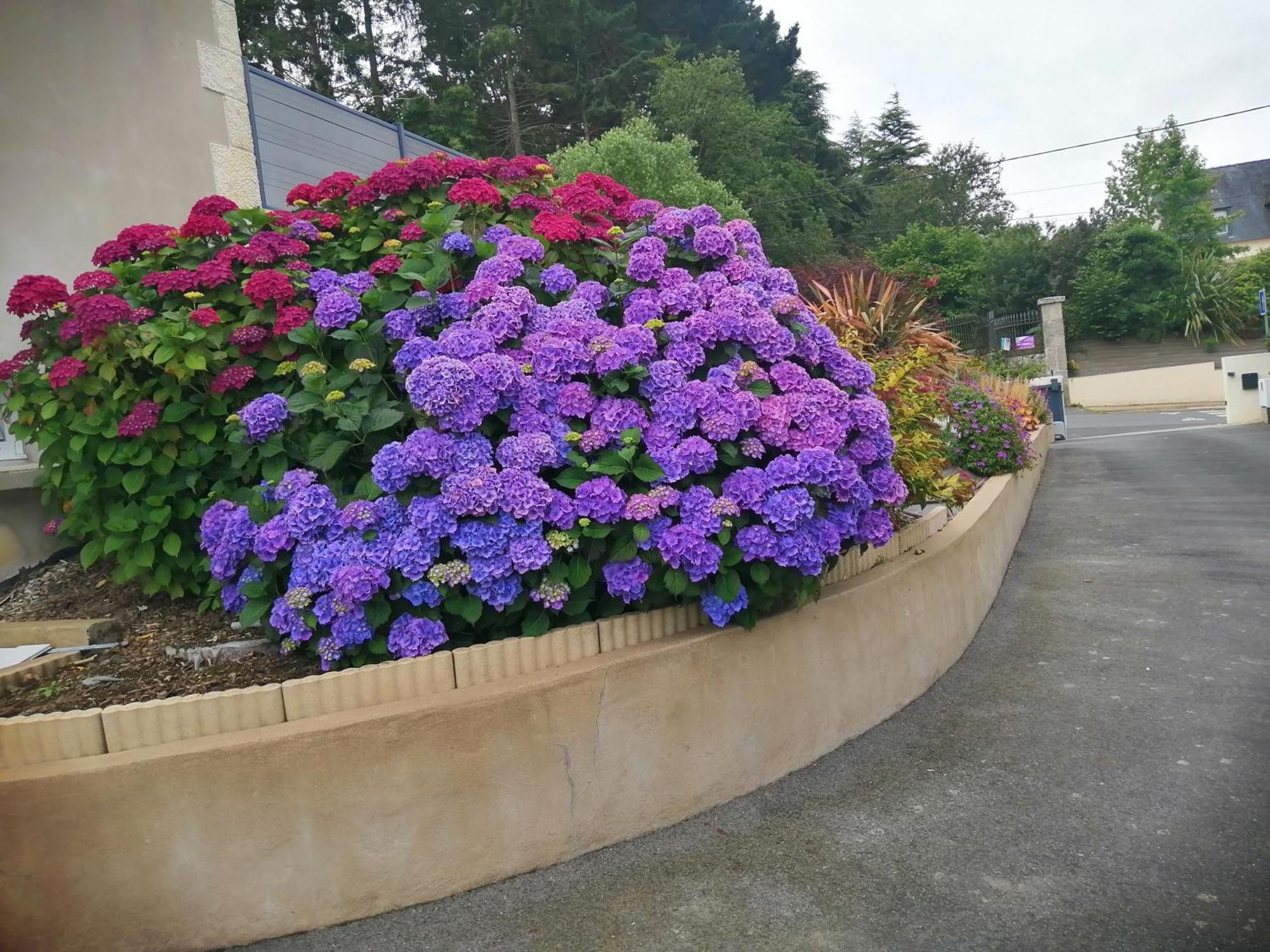 Gite Vacances Moncontour (Cotes-d'Armor)